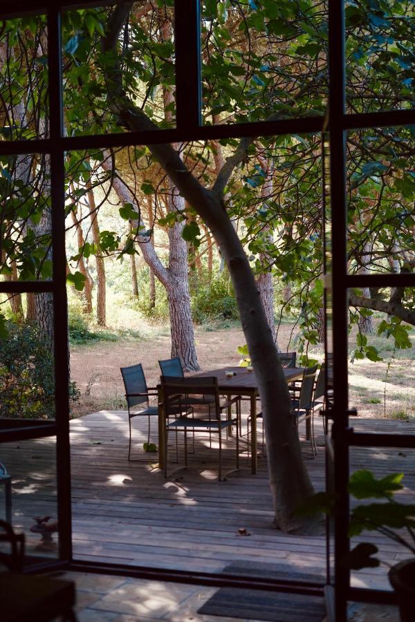 Bed and Breakfast Waya A Domaine Saint Domingue Нарбонна Экстерьер фото
