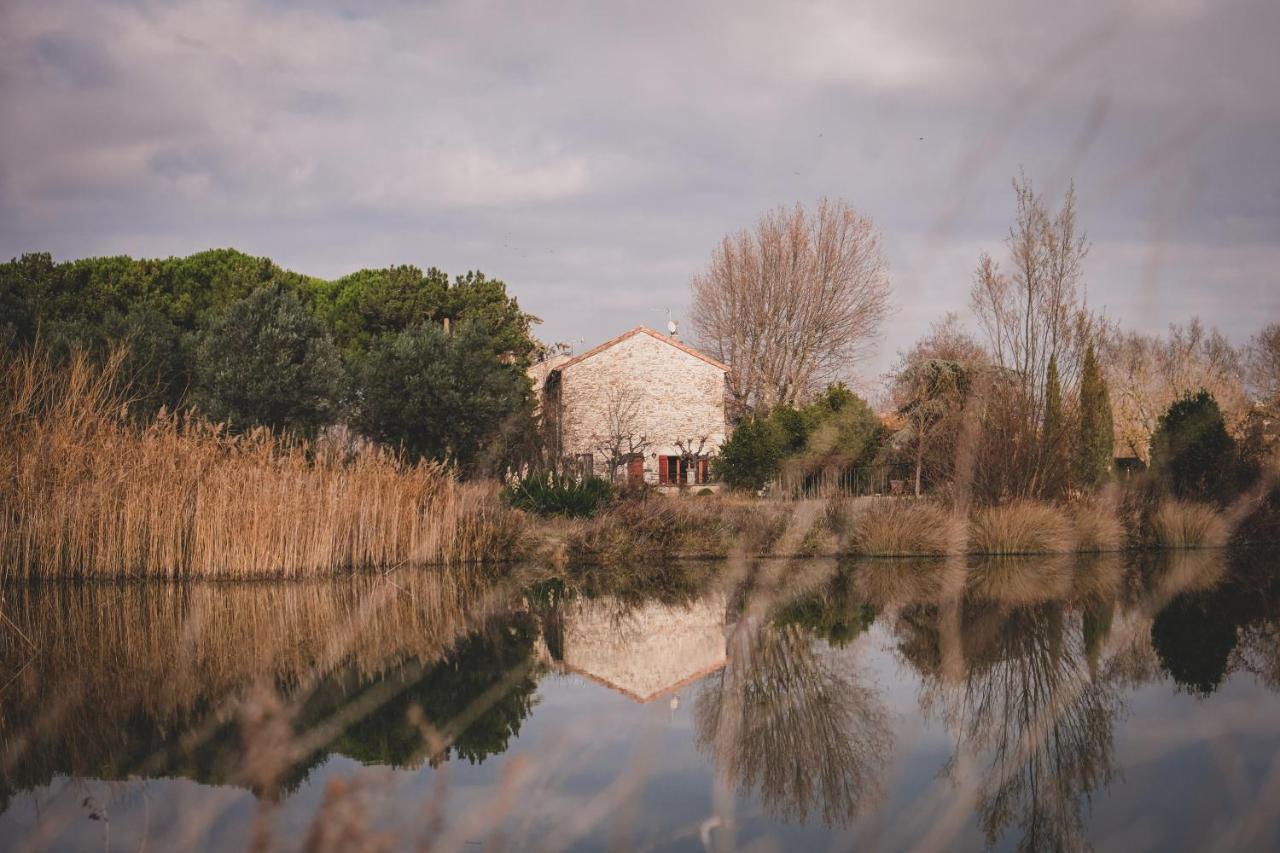 Bed and Breakfast Waya A Domaine Saint Domingue Нарбонна Экстерьер фото